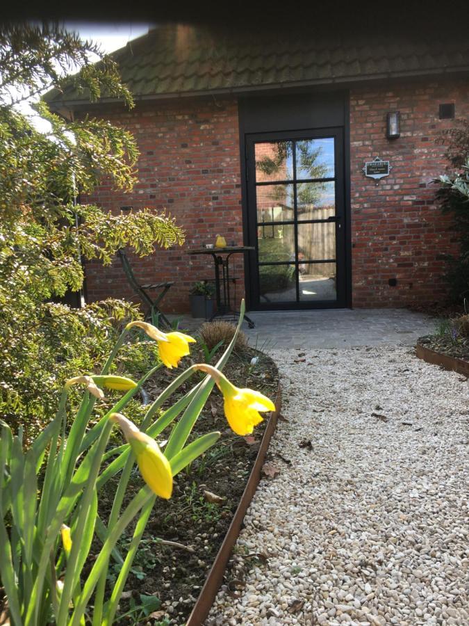 B&B Sint-Mariaburg Antwerpen Exterior foto